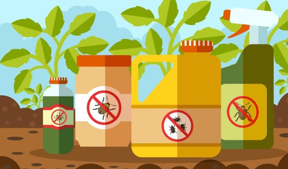 Things To Consider When Choosing The Best Insecticide Safe Killer